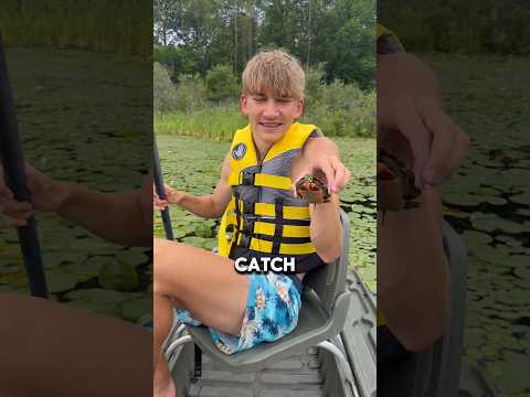 The Best way to Catch a Turtle! #trending #funny #turtle #catch