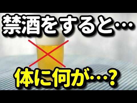 禁酒をすると体に何が起こる？お酒をやめると起こる美容・健康効果６選！がん予防やダイエットになる？知ってよかった健康雑学