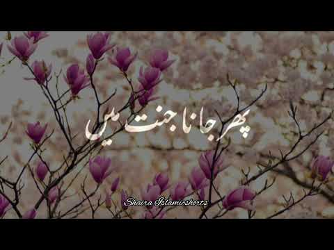 Qayamat Ke Din Sabr Walon Ke Liye Elaan Hoga 🥀 | Islamic WhatsApp Status |