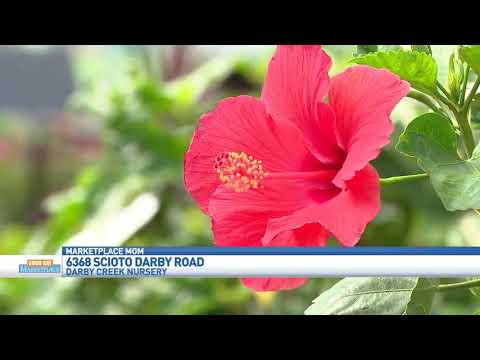 GDM: Darby Creek Nursery - Mother's Day Sale 050820