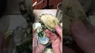 ぼっちが初めてあわびを刺身にして食べてみた 九州産天然（活）黒アワビ Abalone #japan #food