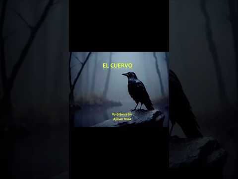 El Cuervo #story #spanishstories #spanish #booktok #books #booktube #reading #readingtime #read