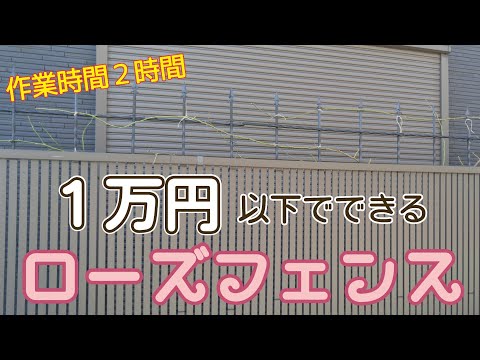 【ローズスタイル】薔薇の壁を夢見て【7,000円以内で出来た】