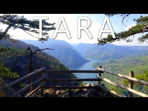 Tara National Park - Serbia