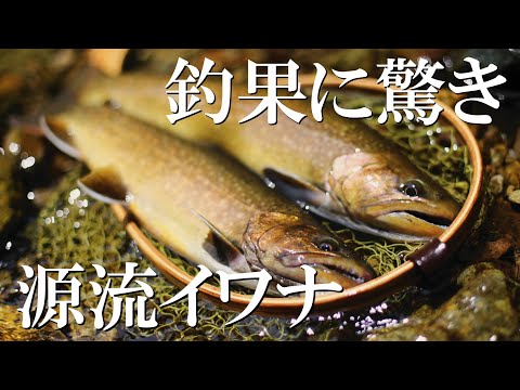 【イワナ釣り】大岩魚！尺イワナ連発！こんな日はめったに無い！！