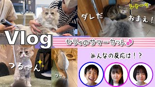 ★Vlog★セリィのサマーカットをしたら・・・みんなの反応がｗｗ