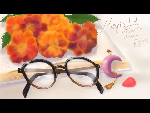 【Minerva🞨YURAIA】 Marigold / Aimyon 【Acoustic Cover】