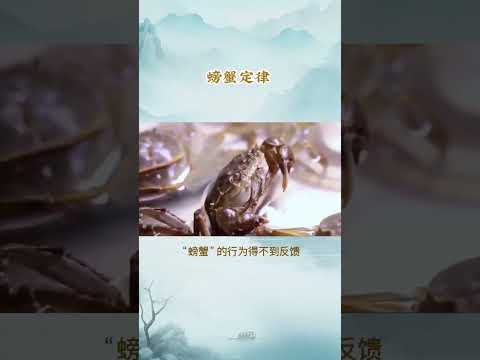 每天一個心理學小知識 - 螃蟹定律