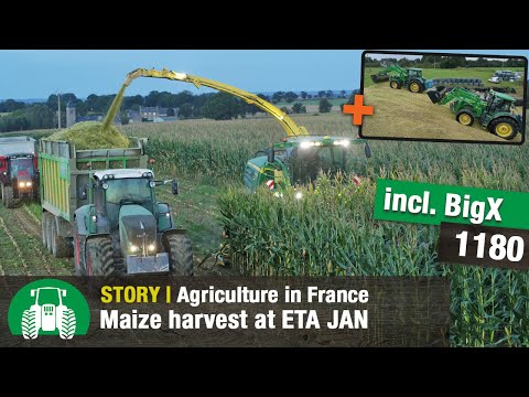 Custom farming: ETA JAN agricultural contractors: Maize harvest | John Deere 9900 & Krone BiG X 1180