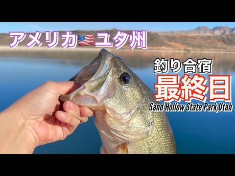 【ユタ州🇺🇸バス釣り合宿】３日目。バスも釣れてお洒落なカフェで気分転換して満足満足。｜BASS FISING at Sand Hollow State Park,Utah Day3