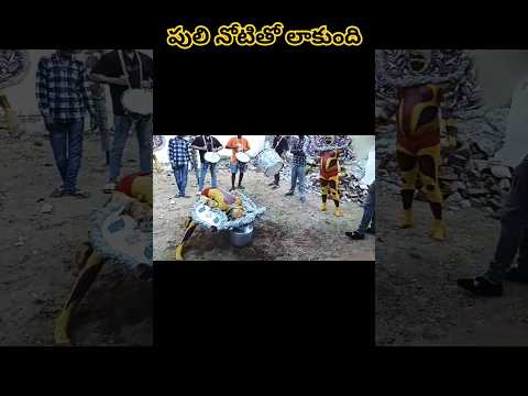 పులి నోటితో లాకుంది #vizianagaram #sirimanu #trending #puliveshalu #shorts #viral #ytshorts