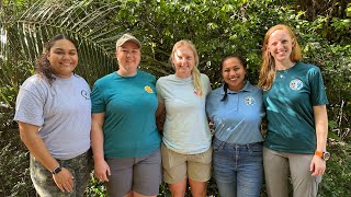 Project explores translocation of critically endangered Saipan bird