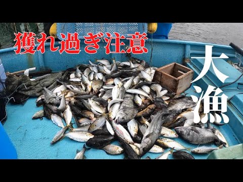 東京湾の真ん中で追い込み漁を体験！船上料理で獲れたての魚を食べる【すだて】【木更津】【潮干狩り】【実三丸】【つぼや】