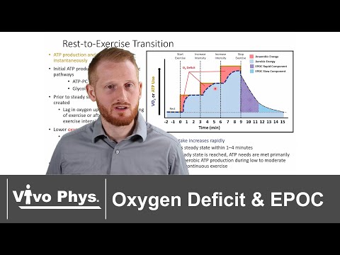 Oxygen Deficit and Excess Post Exercise Oxygen Consumption EPOC - VO2 Kinetics