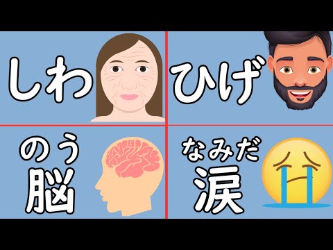 100 Japanese Nouns about the Body to Enhance Your Vocabulary