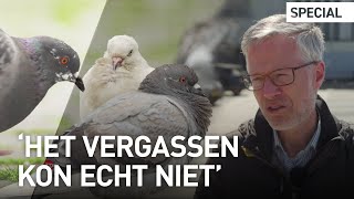 De duif in Amsterdam: gehaat, vergast, gesteriliseerd en geliefd