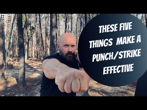 These FIVE Things Make A Punch/Strike Effective