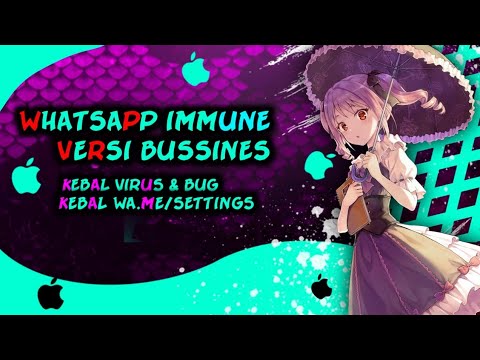 WHATSAPP  BUSSINES IMMUNE || KEBAL VIRUS & BUG || NO PASSWORD