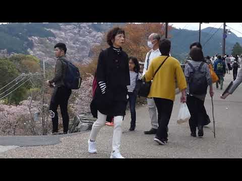 名古屋駅から奈良県吉野山散策　1000本桜　2019年　４月　https://youtu.be/xV3zfl7mbvo