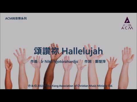 頌讚祢Hallelujah - [ACM 純音樂系列] 絲絃樂章 (一): 路仍是美 － 鋼琴音樂專輯