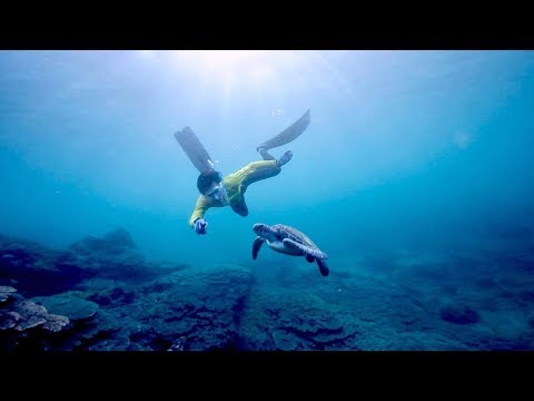 Freediving - The Arch & Corals & Turtles! Hachijo Island 2017