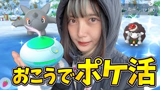 色違いのウールーとアルクジラ狙っておこうポケ活！！【ポケモンGO】