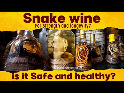 What is snake wine? Is it safe and healthy? Vietnam Snake wine making | Health, Fitness