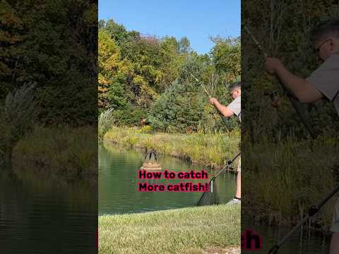 HOW TO Catch Catfish - BEST Tutorial Guide!! #shorts #fishing