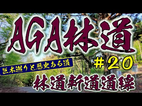 ⭐ AGA林道　２０　林道新道道線