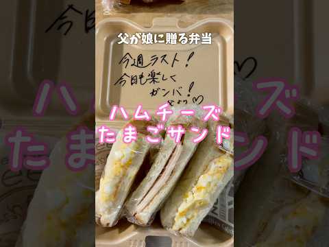 父が娘に贈る弁当(ハムチーズたまごサンド)241122 #サンドイッチ #たまごサンド #お弁当