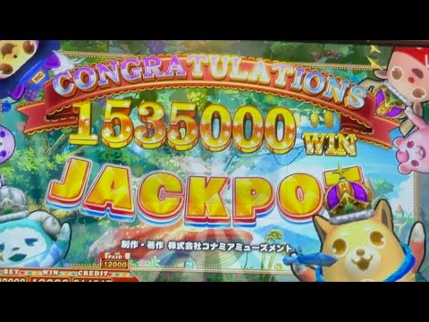 [アニマロッタ] アルティメットスターダストJACKPOT 1535000WIN