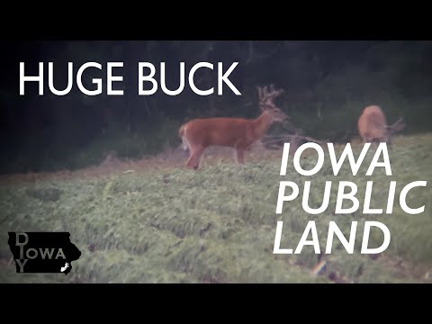 Summer Scouting IOWA Public Land