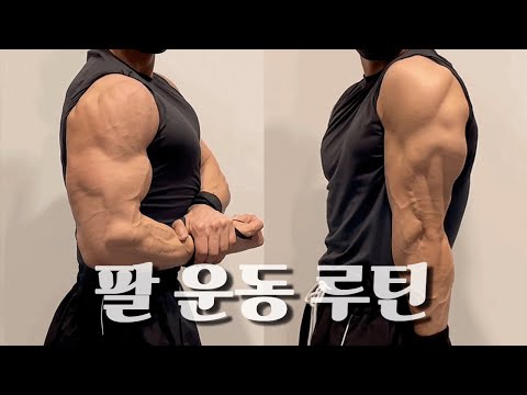 얇은 팔 이렇게 탈출하세요! | 따라하면 두꺼워지는 팔운동루틴 | 팔운동 이렇게만 하셔도 충분합니다!