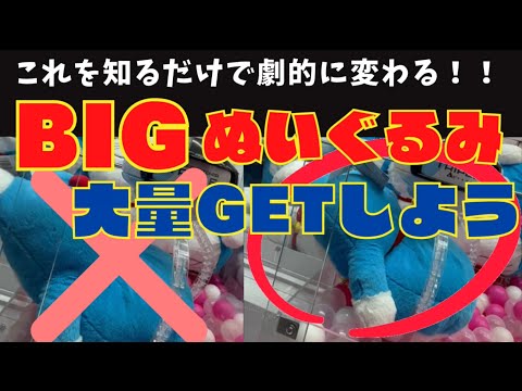 【クレーンゲーム】大量ゲットを狙おう！BIGぬいぐるみはこれでGETだ！