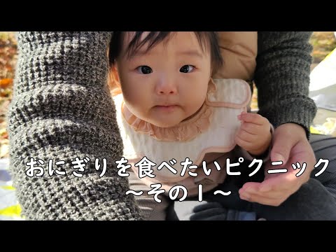 どうしても、おにぎりを食べたい0歳児～その１～　【262Days】