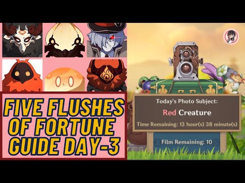 DAY 3 KURIOUS KAMERA FIVE FLUSHES OF FORTUNE GUIDE