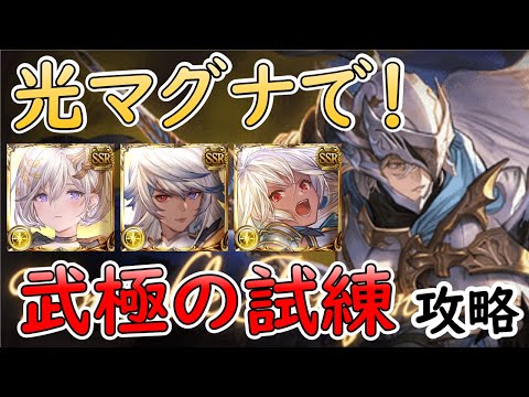 ［グラブル］武極の試練光マグナで攻略