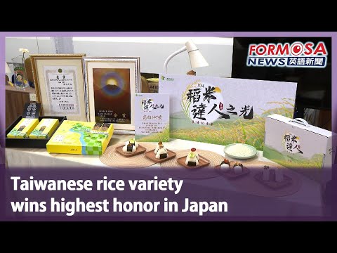 Taiwanese rice variety wins highest honor in Japan｜Taiwan News