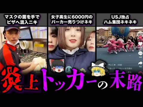 【ゆっくり解説】大炎上TikTokerの悲惨な末路5選！！