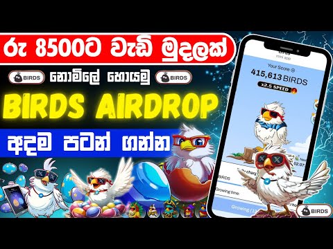 Birds airdrop sinhala | telegram birds airdrop | රු  8500ට   මුදලක්  නොමිලේ | New telegram airdrop