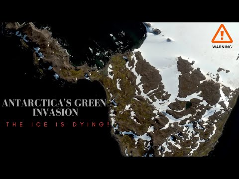 Antarctica's Green INVASION: The Ice is DYING!