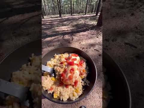 Vanlife Dinner!