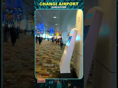 Changi Airport | Shorts #shorts #mmtravelguide