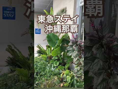 【沖縄ホテル】東急ステイ沖縄那覇/宿泊は10回以上/那覇の定番宿/壺川駅から近くドンキ直通/洗濯機があるのが一番助かります #沖縄ホテル #沖縄