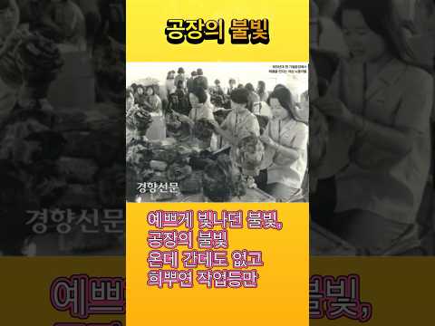 #김민기 추도 #공장의불빛 가창: 이정미 #李政美 #shorts 金ミンギ 工場の灯火 韓国語 #kpop