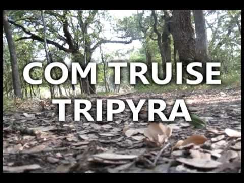 Com Truise - Tripyra