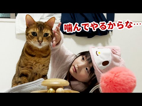 人を選んで噛み散らかす暴君の片鱗を見せる猫