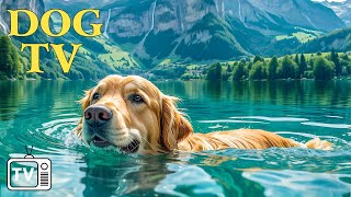 DOG TV: Deeply Relaxing Video for Stress Relief for Dog - Soothing Dog Music Videos for Dog to Watch