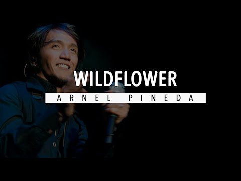 Wildflower - Skylark (Arnel Pineda Cover)