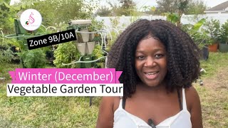 Winter (December) Vegetable Garden Tour Zone 9A/10A